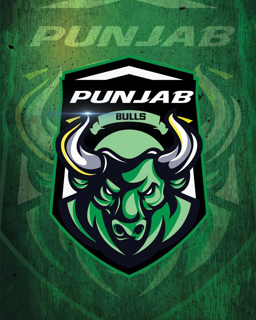 Punjab Bulls logo